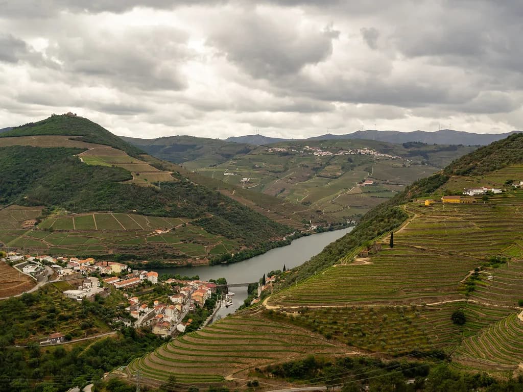 Douro Harvest Festivals Near Pinhão: A Practical Guide to Vindimas
