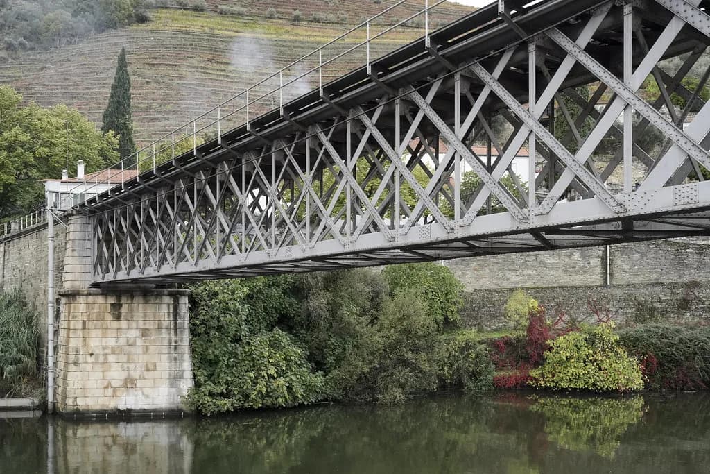 Douro Port Harvest Schedule: When to See the Vindima