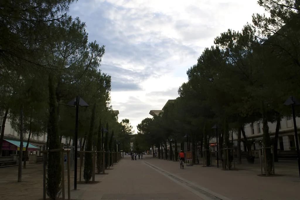 Les Estivales Montpellier: Friday-Night Wine & Food Guide