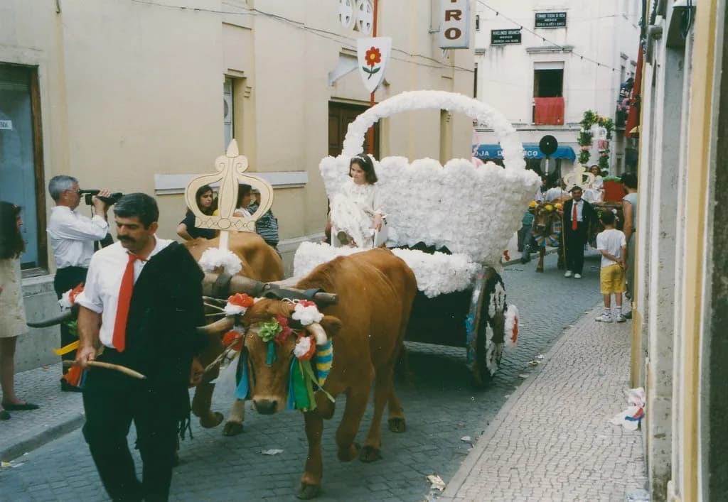 Festa dos Tabuleiros in Tomar: A Complete Visitor's Guide