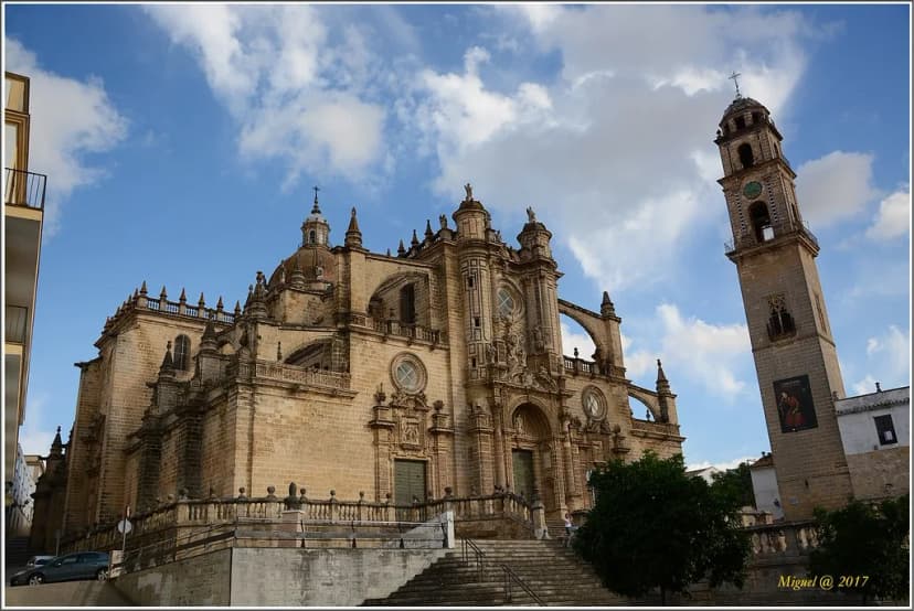 Festival de Jerez Lineups: Past Featured Artists & How to Pick Shows
