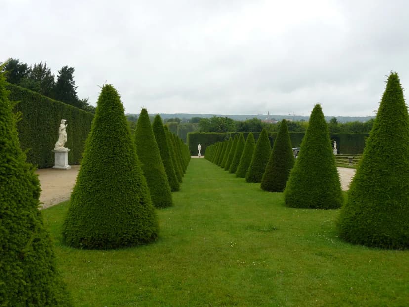 Fête de la Musique in Versailles: Programme & Concerts Guide
