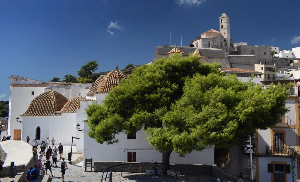 IMS Ibiza Tickets & Events: What You Need to Know