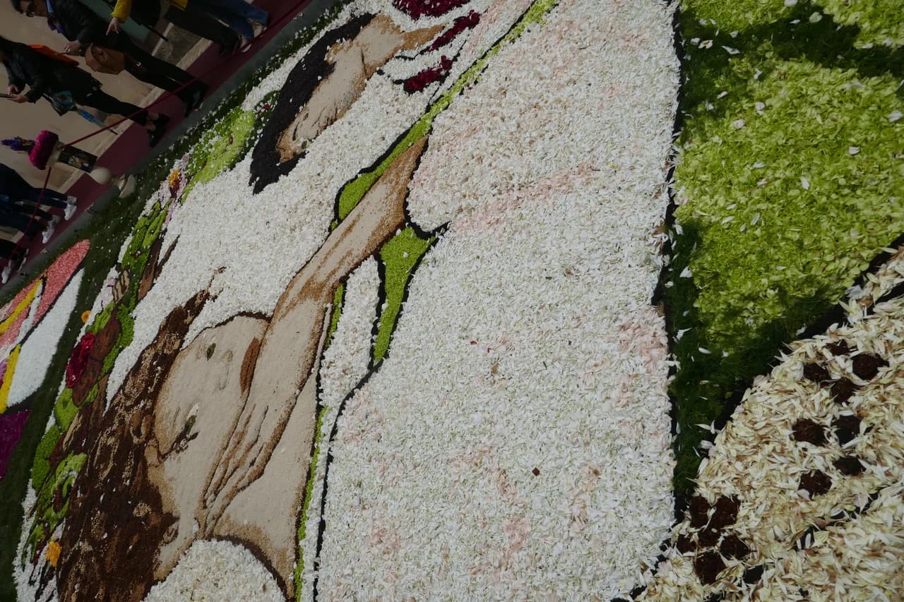 Where to Watch the Infiorata di Noto Flower Carpet Being Made