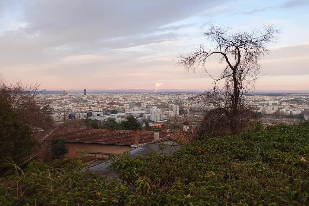Lyon Dance Biennale: Visitor's Guide to the Festival