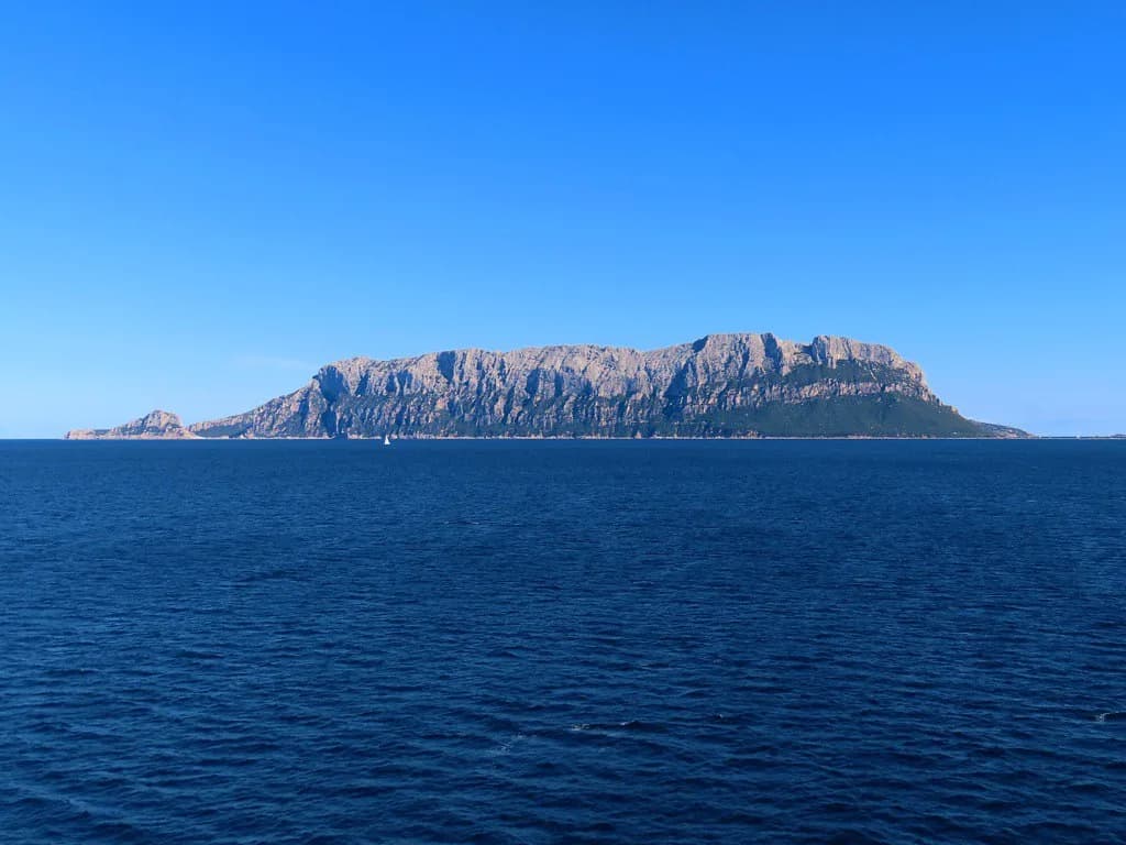 Music Festivals Near Olbia: Your Guide to Sardinia's Highlights
