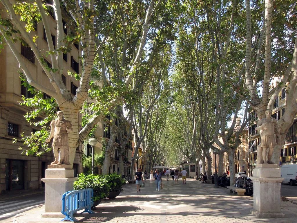 Sant Sebastià Palma Bonfires: Where They Are & How to Get There