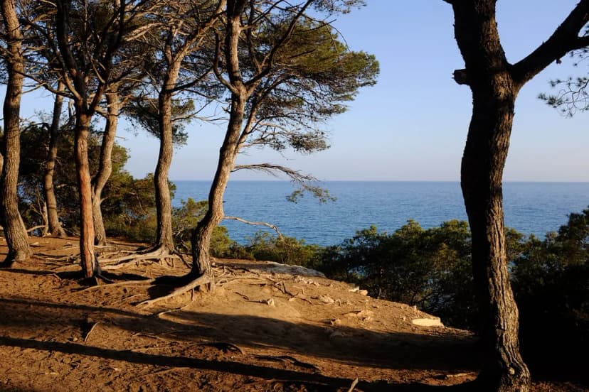 Tarragona Fireworks: Best Viewing Spots Along Miracle Beach