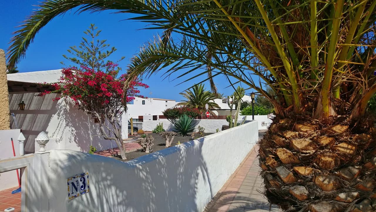 Virgen del Carmen in Corralejo: Guide to the July 16 Maritime Procession