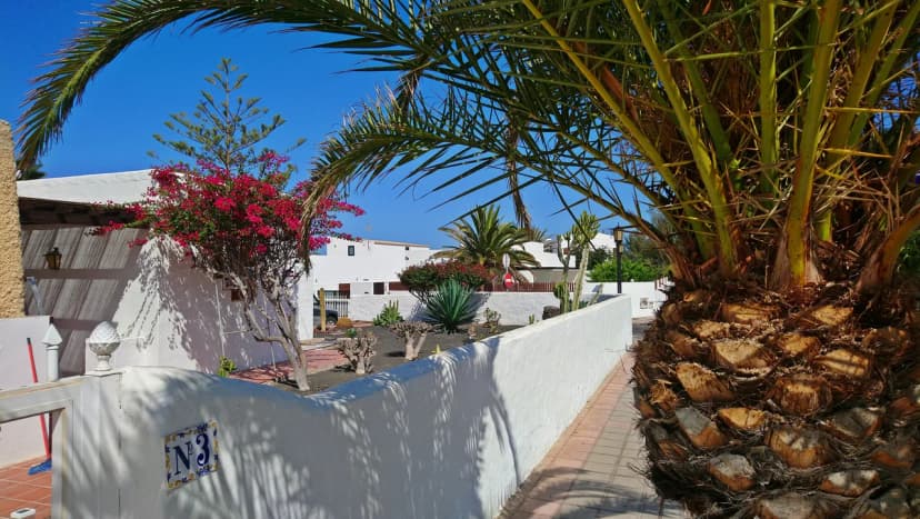 Virgen del Carmen in Corralejo: Guide to the July 16 Maritime Procession