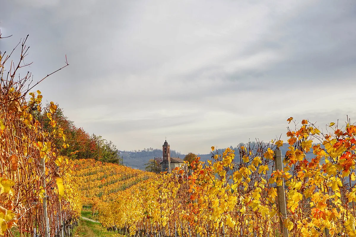 Near Mount Lupo. Langhe. Italy — 2