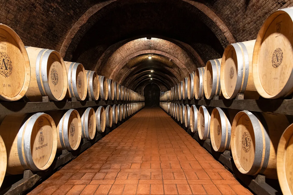 A barrel cellar of the kind Vinitaly producers come from